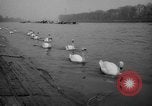 Image of 110th renewal rowing classic London England United Kingdom, 1964, second 14 stock footage video 65675043879