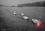 Image of 110th renewal rowing classic London England United Kingdom, 1964, second 15 stock footage video 65675043879
