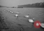 Image of 110th renewal rowing classic London England United Kingdom, 1964, second 17 stock footage video 65675043879