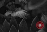 Image of war weary British troops Egypt, 1941, second 36 stock footage video 65675043884