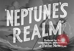 Image of King Neptune ceremony New York United States USA, 1936, second 7 stock footage video 65675043898