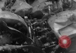 Immagine di Scatafascio Coast Guard RD-4 anfibi St. Petersburg Florida USA, 1935, secondo 12 filmato di repertorio 65675043903