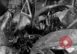 Immagine di Scatafascio Coast Guard RD-4 anfibi St. Petersburg Florida USA, 1935, secondo 59 filmato di repertorio 65675043903