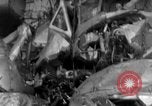 Immagine di Scatafascio Coast Guard RD-4 anfibi St. Petersburg Florida USA, 1935, secondo 60 filmato di repertorio 65675043903