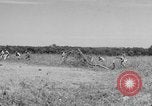 Immagine di Serbatoio truppe del destroyer Camp Hood Texas USA, 1942, secondo 21 filmato di repertorio 65675043907