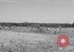 Immagine di Serbatoio truppe del destroyer Camp Hood Texas USA, 1942, secondo 22 filmato di repertorio 65675043907