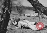 Immagine di Serbatoio truppe del destroyer Camp Hood Texas USA, 1942, secondo 50 filmato di repertorio 65675043907