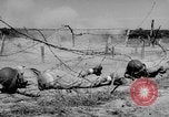 Immagine di Serbatoio truppe del destroyer Camp Hood Texas USA, 1942, secondo 53 filmato di repertorio 65675043907