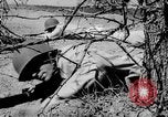 Immagine di Serbatoio truppe del destroyer Camp Hood Texas USA, 1942, secondo 58 filmato di repertorio 65675043907