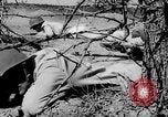 Immagine di Serbatoio truppe del destroyer Camp Hood Texas USA, 1942, secondo 59 filmato di repertorio 65675043907