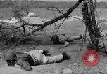 Immagine di Serbatoio truppe del destroyer Camp Hood Texas USA, 1942, secondo 60 filmato di repertorio 65675043907