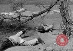 Immagine di Serbatoio truppe del destroyer Camp Hood Texas USA, 1942, secondo 61 filmato di repertorio 65675043907