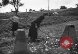 Image Ligne Siegfried Dragons dents Allemagne, 1939, de la seconde 9 séquences d'archives historiques vidéo 65675043942