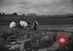 Image Ligne Siegfried Dragons dents Allemagne, 1939, de la seconde 21 séquences d'archives historiques vidéo 65675043942