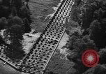 Image Ligne Siegfried Dragons dents Allemagne, 1939, de la seconde 50 séquences d'archives historiques vidéo 65675043942