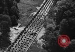 Image Ligne Siegfried Dragons dents Allemagne, 1939, de la seconde 51 séquences d'archives historiques vidéo 65675043942