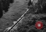 Image Ligne Siegfried Dragons dents Allemagne, 1939, de la seconde 56 séquences d'archives historiques vidéo 65675043942