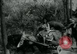 Standbild kleiner Tiger Joe China, 1944, aus Sekunde 7 historischem Filmmaterial Videoclip 65675043945