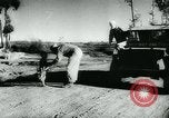 Standbild kleiner Tiger Joe China, 1944, aus Sekunde 16 historischem Filmmaterial Videoclip 65675043945