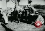 Standbild kleiner Tiger Joe China, 1944, aus Sekunde 29 historischem Filmmaterial Videoclip 65675043945