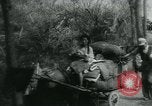 Immagine di Rifugiati cinesi Cina, 1944, secondo 43 filmato di repertorio 65675043946