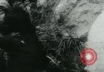 Immagine di Rifugiati cinesi Cina, 1944, secondo 55 filmato di repertorio 65675043946
