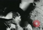Immagine di Rifugiati cinesi Cina, 1944, secondo 59 filmato di repertorio 65675043946