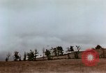 Immagine di P-47 Thunderbolt Germania, 1945, secondo 17 filmato di repertorio 65675043966