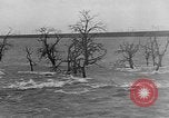 Image of Flooding in Arnhem during World War 2 Arnhem Netherlands, 1944, second 30 stock footage video 65675043980