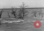 Image of Flooding in Arnhem during World War 2 Arnhem Netherlands, 1944, second 31 stock footage video 65675043980