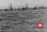 Image of Flooding in Arnhem during World War 2 Arnhem Netherlands, 1944, second 38 stock footage video 65675043980