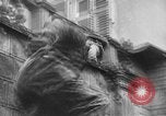 Image of German and Allied tank battle Germany, 1944, second 11 stock footage video 65675043981