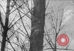 Image of German and Allied tank battle Germany, 1944, second 37 stock footage video 65675043981