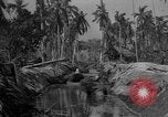 Image of Philippine Operations Philippines, 1944, second 1 stock footage video 65675043985