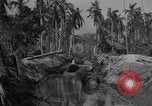 Image of Philippine Operations Philippines, 1944, second 3 stock footage video 65675043985