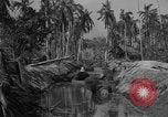 Image of Philippine Operations Philippines, 1944, second 5 stock footage video 65675043985