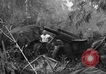 Image of Philippine Operations Philippines, 1944, second 49 stock footage video 65675043985