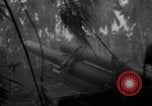 Image of Philippine Operations Philippines, 1944, second 61 stock footage video 65675043985