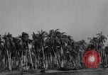 Image of Philippine Operations Philippines, 1944, second 26 stock footage video 65675043988