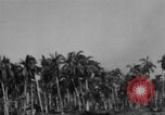 Image of Philippine Operations Philippines, 1944, second 27 stock footage video 65675043988