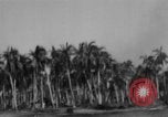 Image of Philippine Operations Philippines, 1944, second 28 stock footage video 65675043988