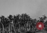 Image of Philippine Operations Philippines, 1944, second 29 stock footage video 65675043988