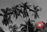 Image of Philippine Operations Philippines, 1944, second 32 stock footage video 65675043988