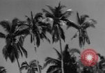 Image of Philippine Operations Philippines, 1944, second 33 stock footage video 65675043988