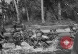 Image of Philippine Operations Philippines, 1944, second 45 stock footage video 65675043988