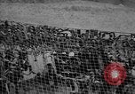 Standbild Henry Stimson L Italien, 1944, aus Sekunde 34 historischem Filmmaterial Videoclip 65675044002