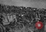 Standbild Henry Stimson L Italien, 1944, aus Sekunde 35 historischem Filmmaterial Videoclip 65675044002