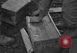 Image of 36th Infantry Division Besancon France, 1944, second 31 stock footage video 65675044010