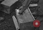 Image of 36th Infantry Division Besancon France, 1944, second 32 stock footage video 65675044010