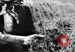 Image of Princess Margaret United Kingdom, 1954, second 36 stock footage video 65675044023